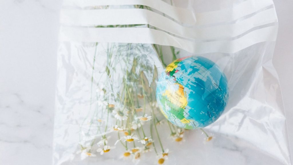 Symbolic image of a globe and daisies in a plastic bag, highlighting environmental conservation.